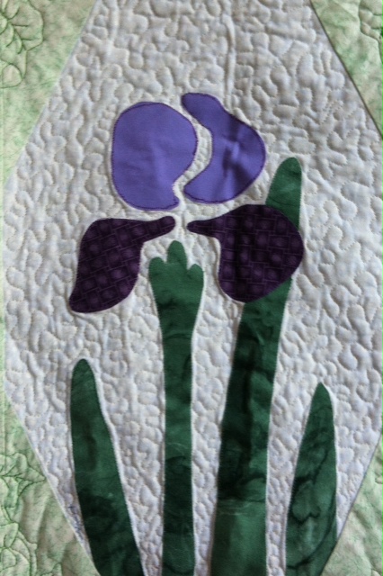 It’s Time For The 2012 Iris Swap!